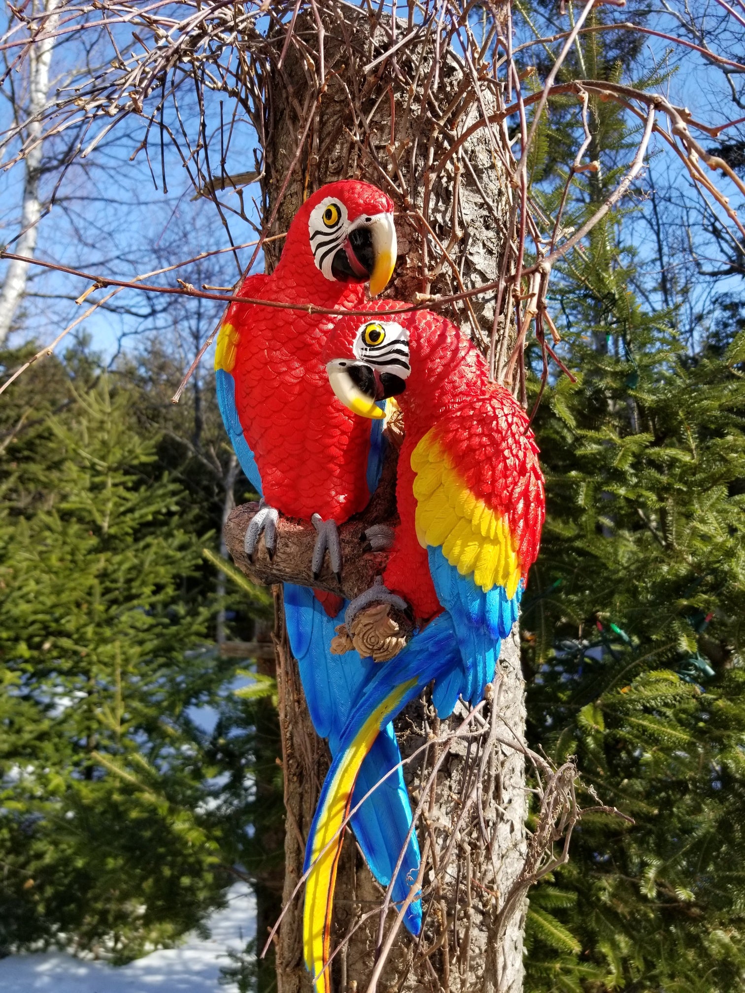 colorful macaw pair statue for sale