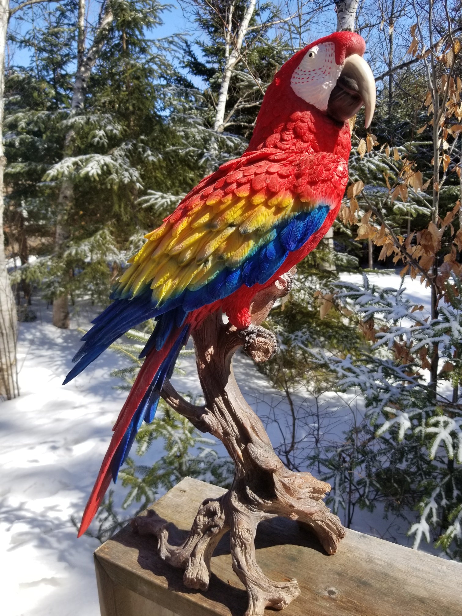 scarlet large macaw statue for sale
