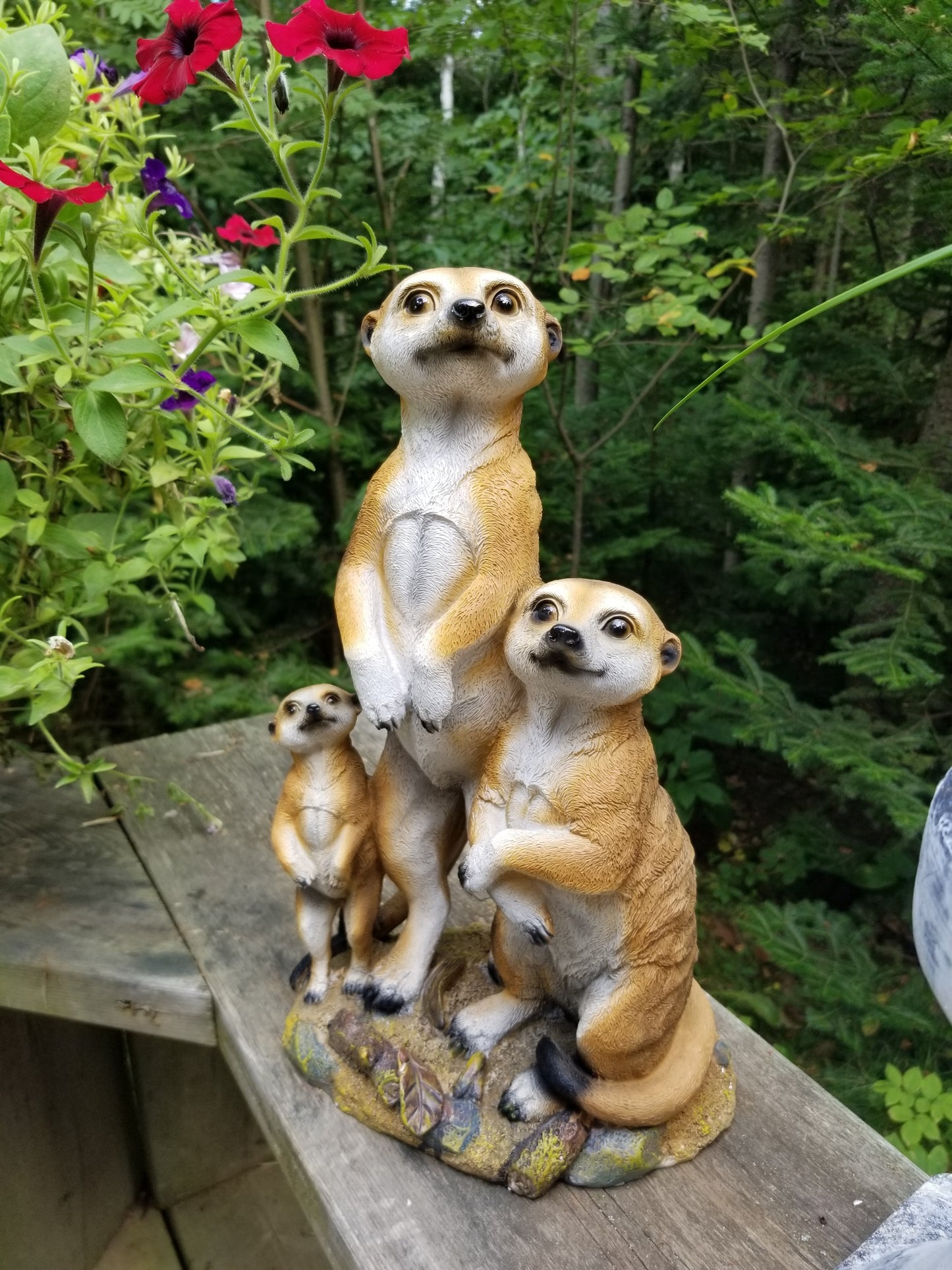 meerkat statue for sale