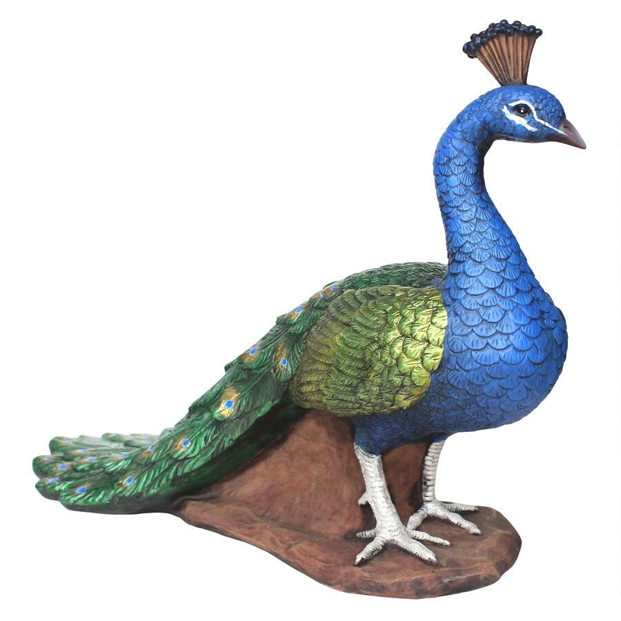 medium peacock statue for sale
