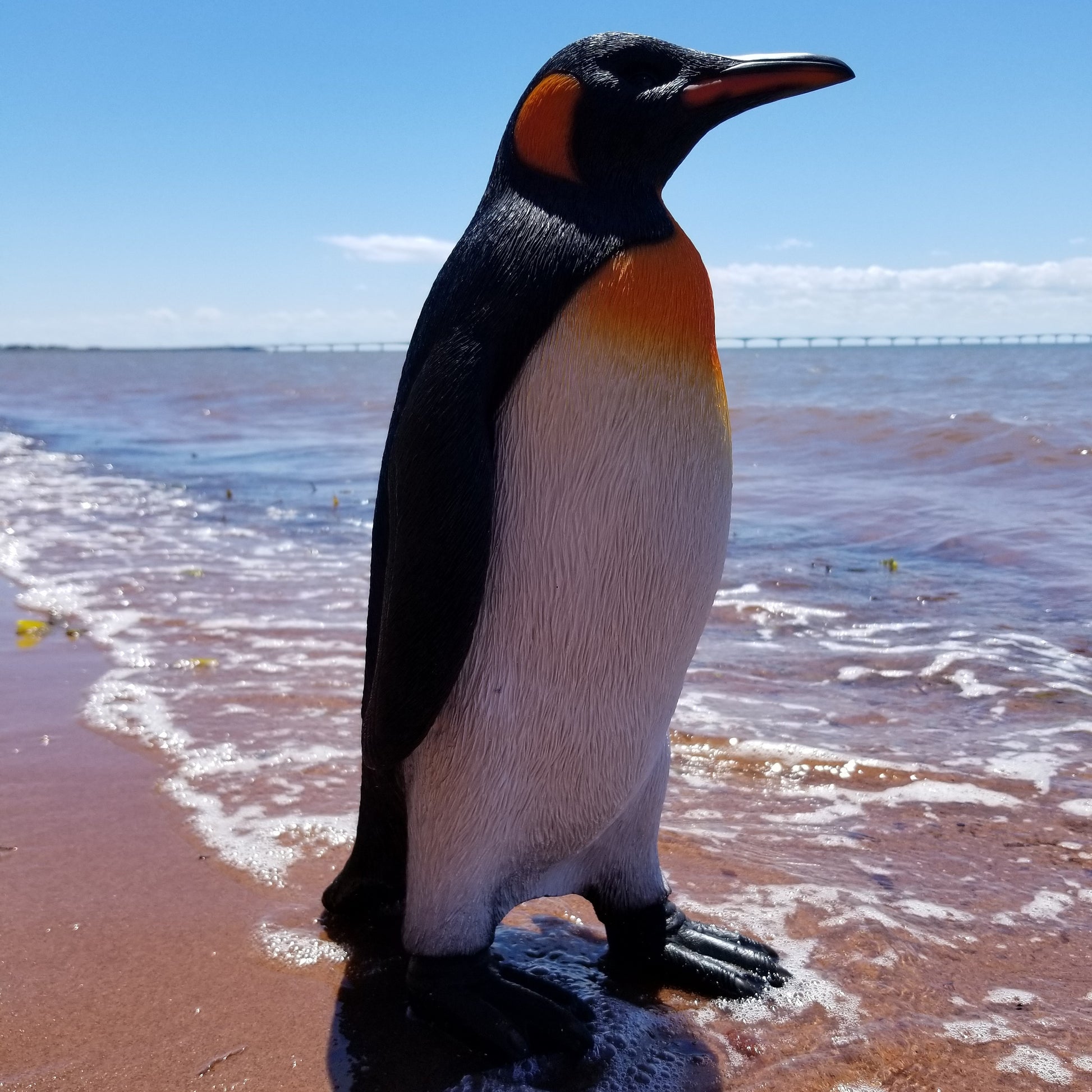 small king penguin statue for sale