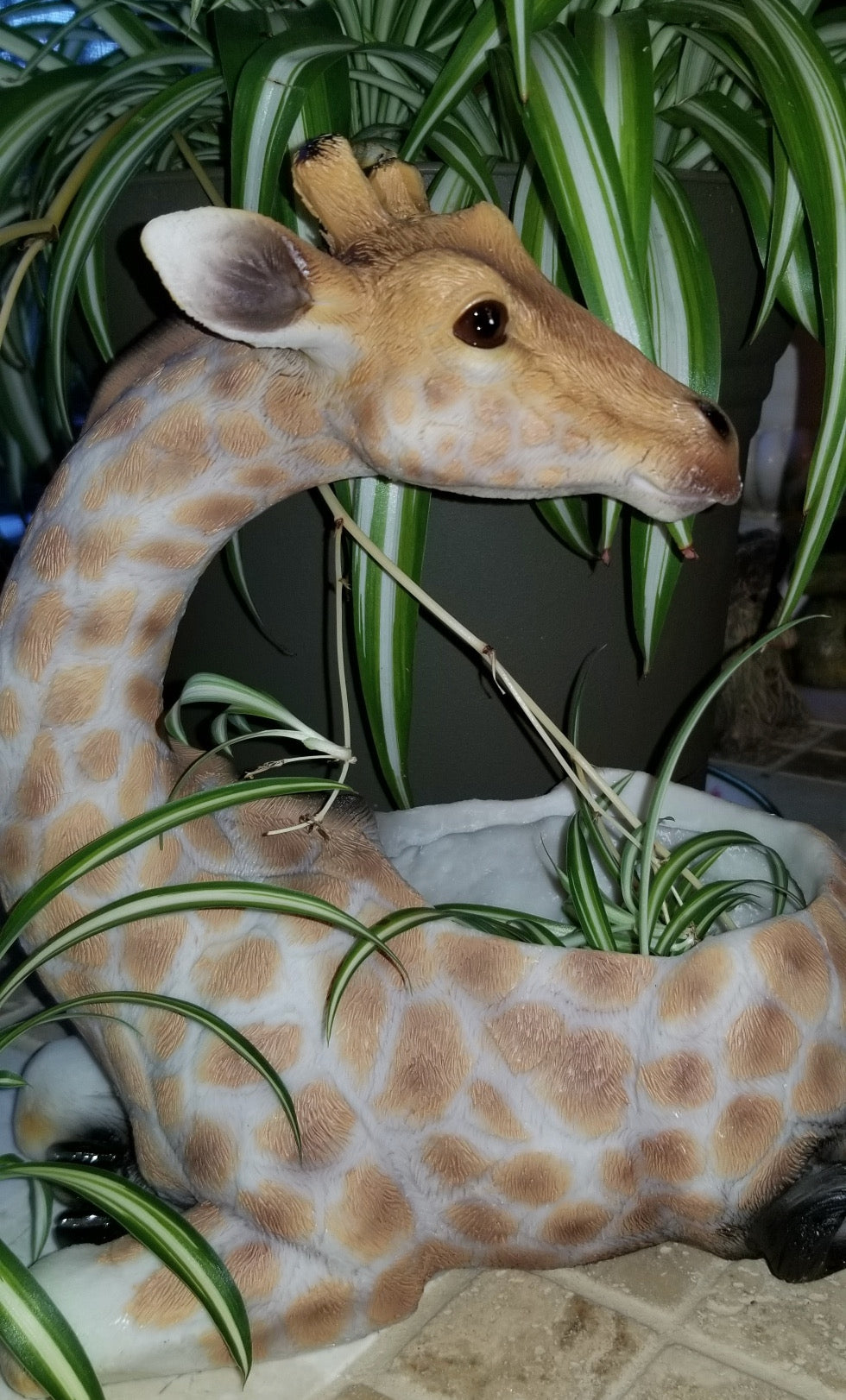 giraffe animal planter for sale