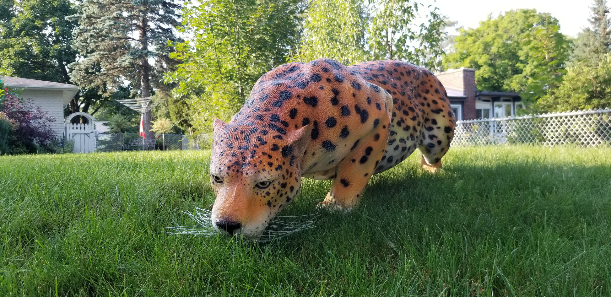 jaguar statue sniffing front pose