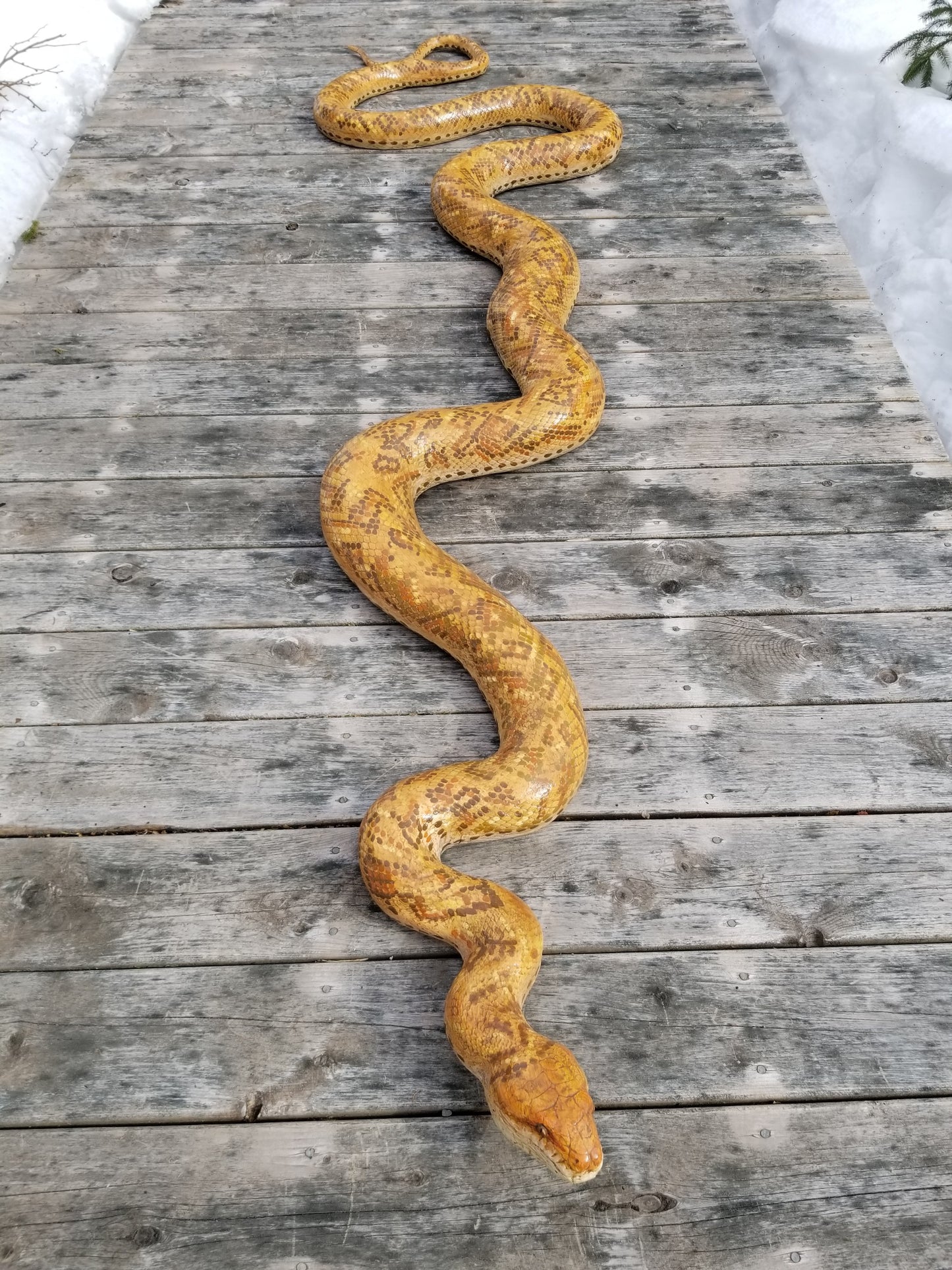 python snake statue for sale