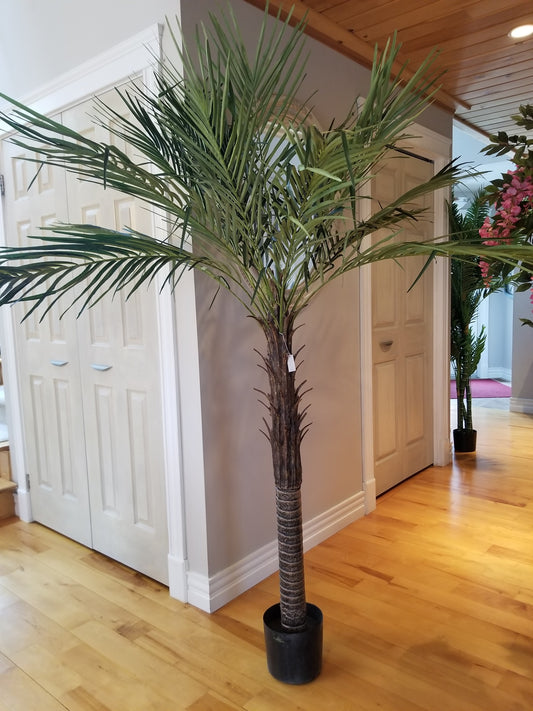 6 foot robellini palm artificial tree for sale