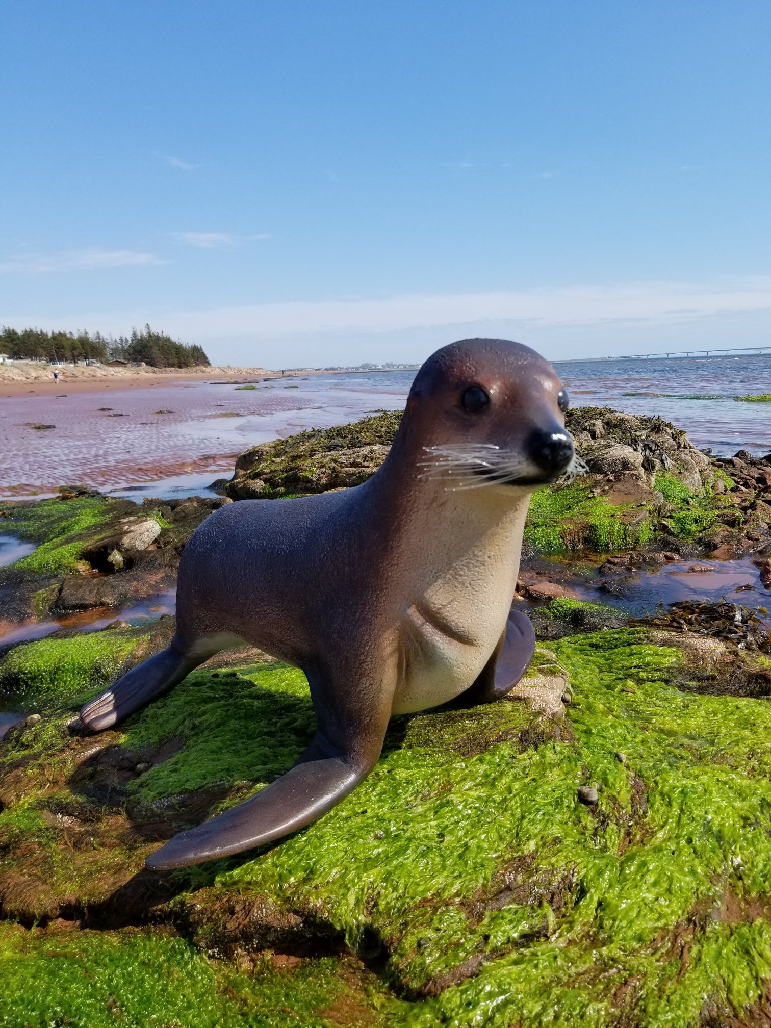 baby seal statue for sale