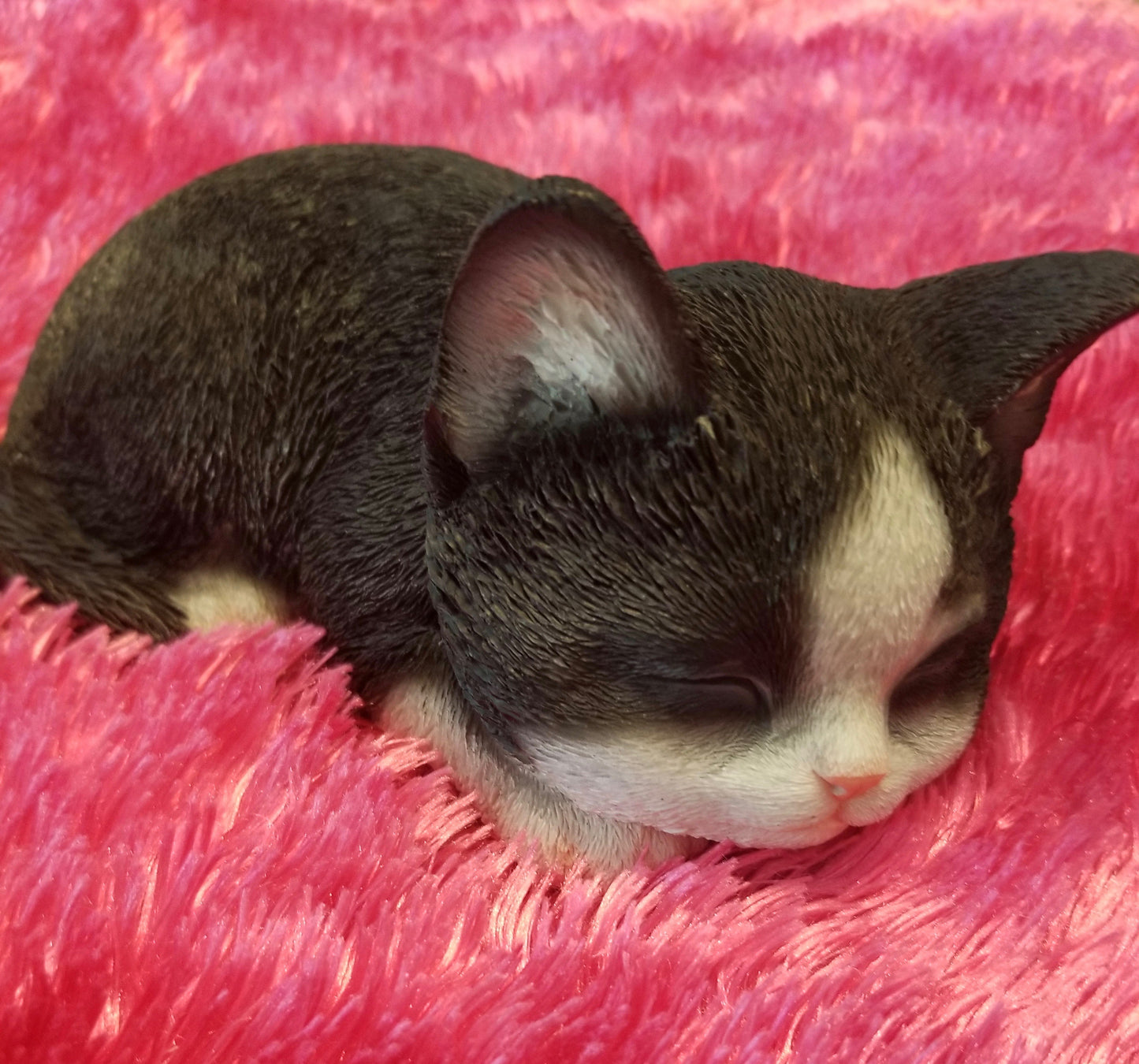 Sleeping Black and White Kitten Ornament
