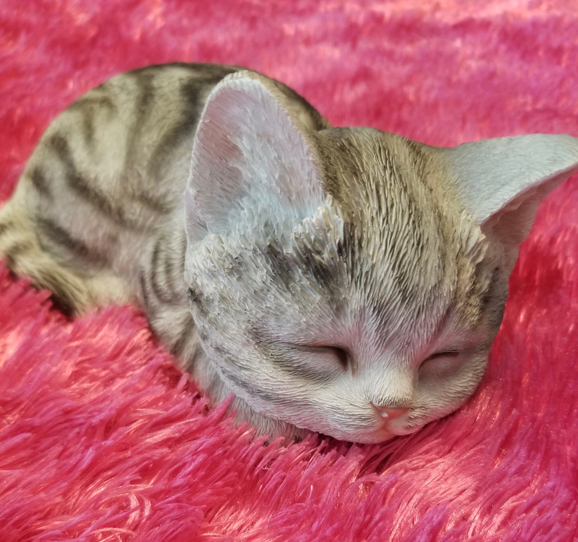 Sleeping Grey Tabby Kitten Ornament