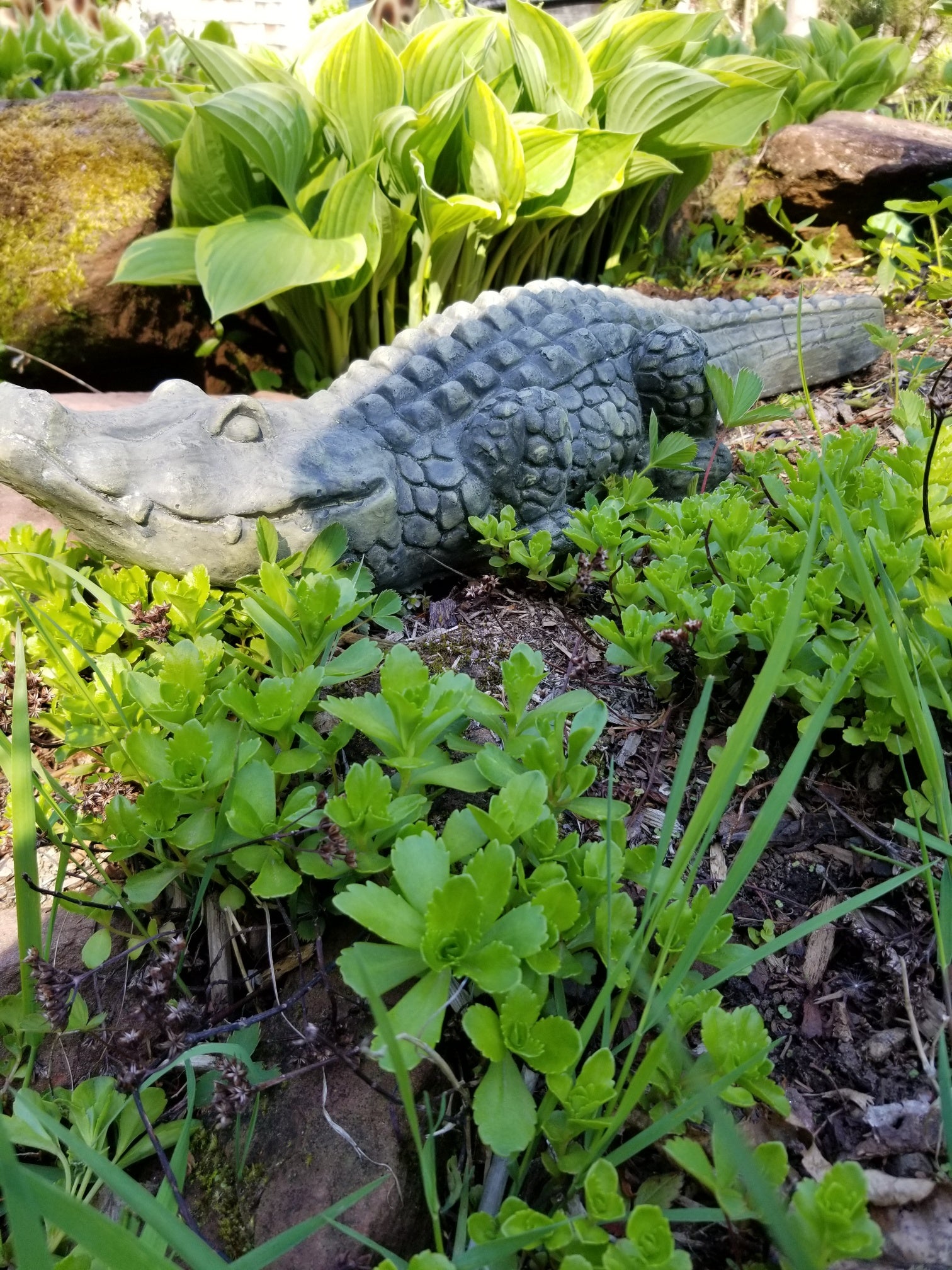 small alligator statue for sale