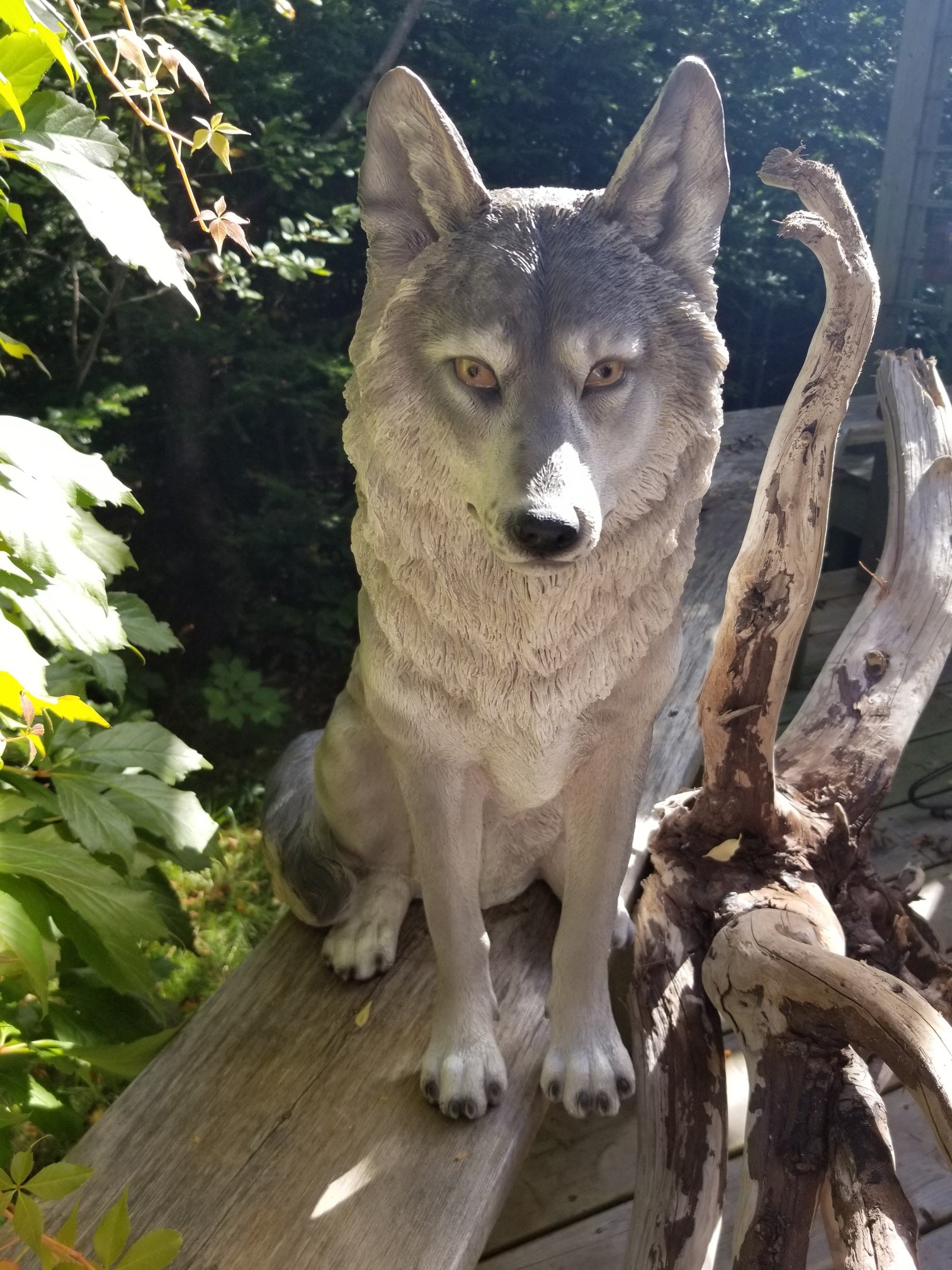 grey wolf statue for sale